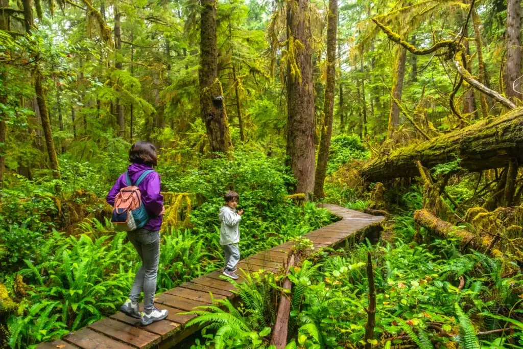 Pacific Rim National Park Reserve rainforest trail, Long Beach or exact intertidal setting