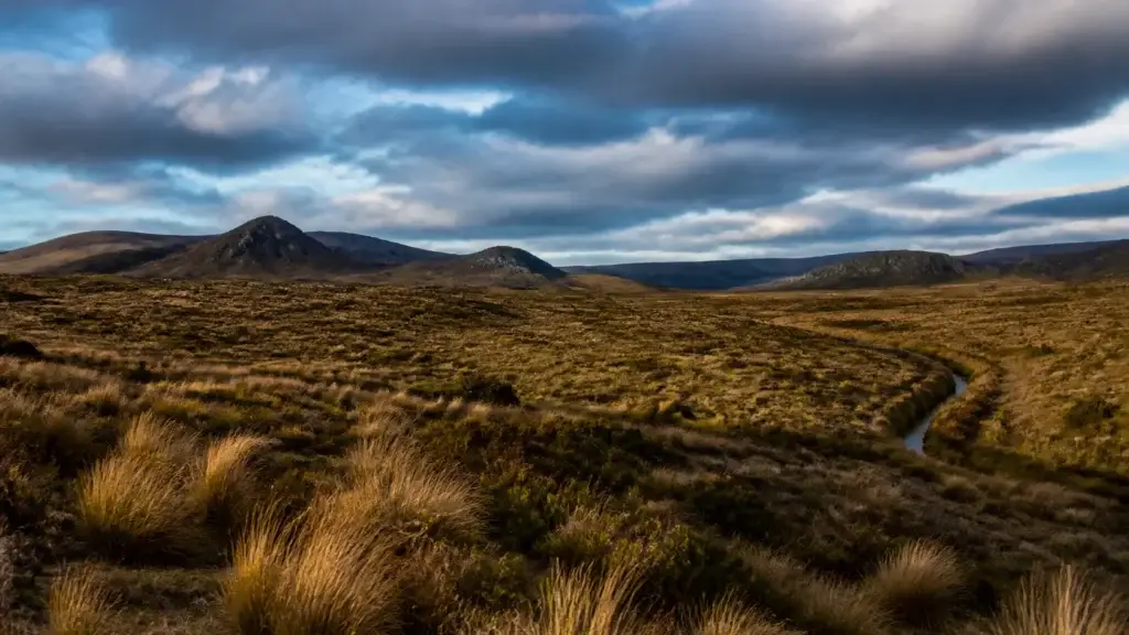Exact associated estancia habitat, conservation fieldwork or land-stewardship landscape near Torres del Paine