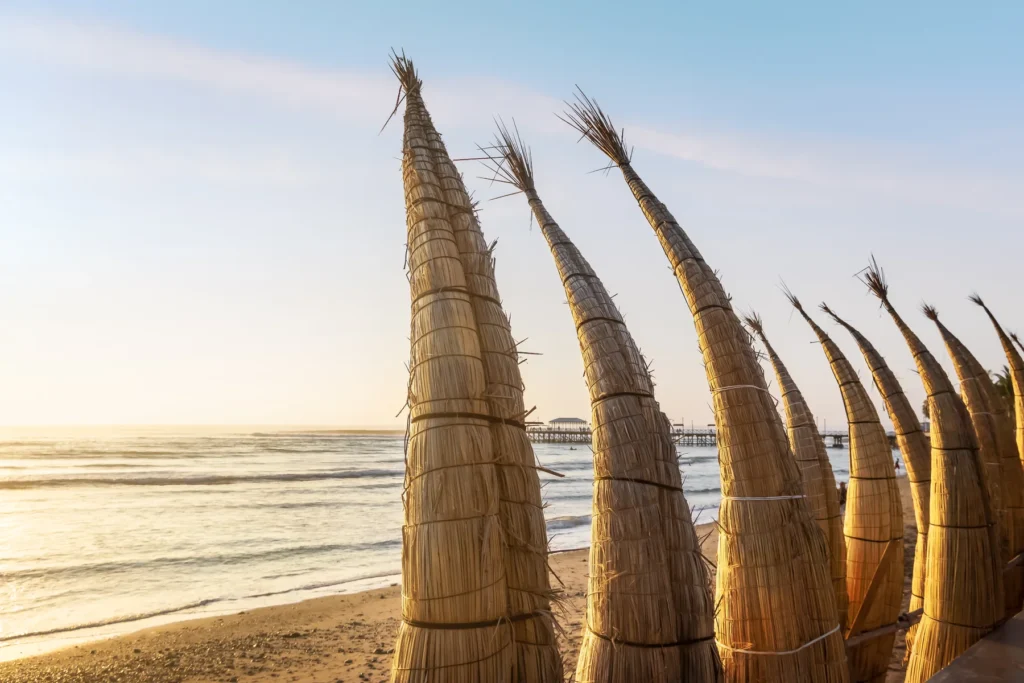 Documented caballitos de totora in Huanchaco with lawful public context