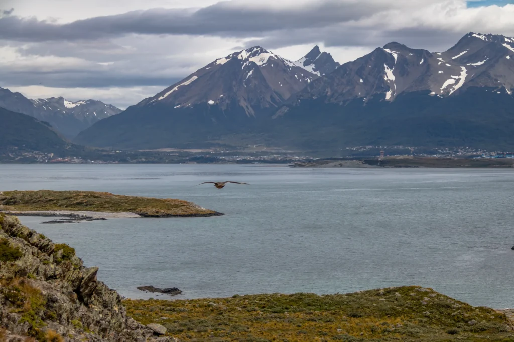 Documented Ushuaia and Beagle Channel panorama