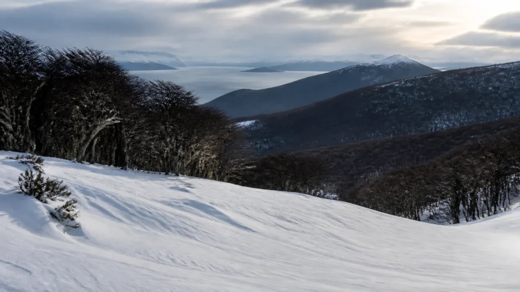 AI-generated editorial visualization of an unbranded winter-mountain context near Ushuaia.
