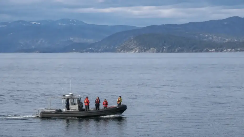 Victoria-based responsible whale-watch vessel, Salish Sea naturalist or distant marine wildlife under lawful viewing conditions