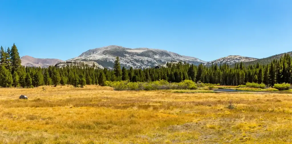 Mammoth Peak Is At The Northern End Of The Kuna Crest In Yosemite National Park, Very Close To Ca