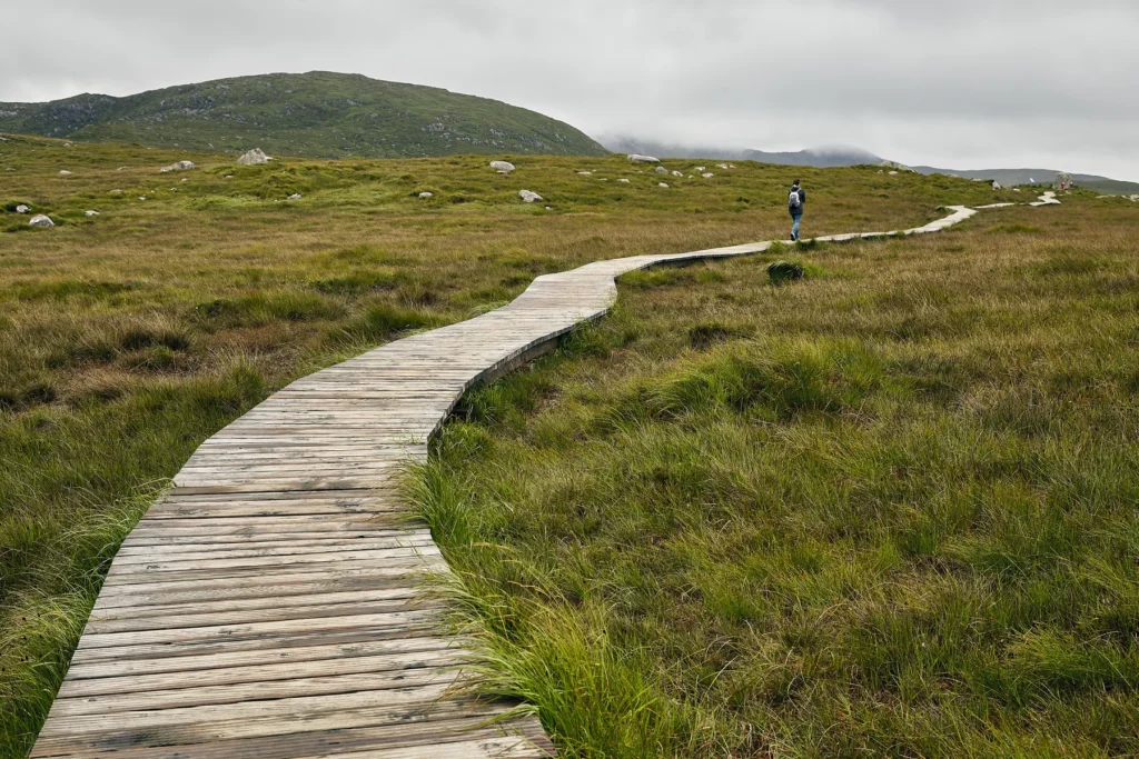 A pathway in Connemara National Park, Ireland.