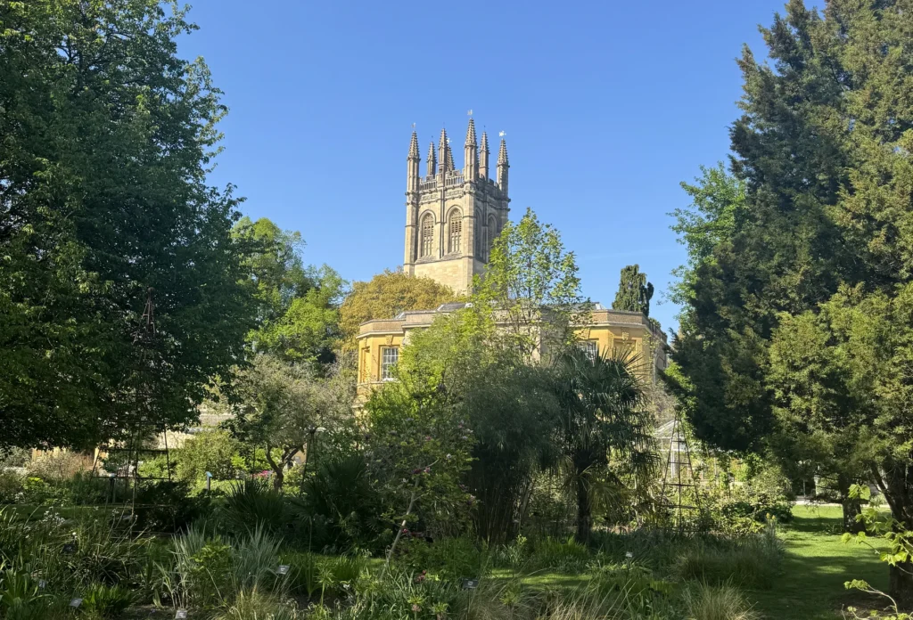 Magdalen College bell tower from Oxford Botanic Garden in spring, Oxford, Oxon, England