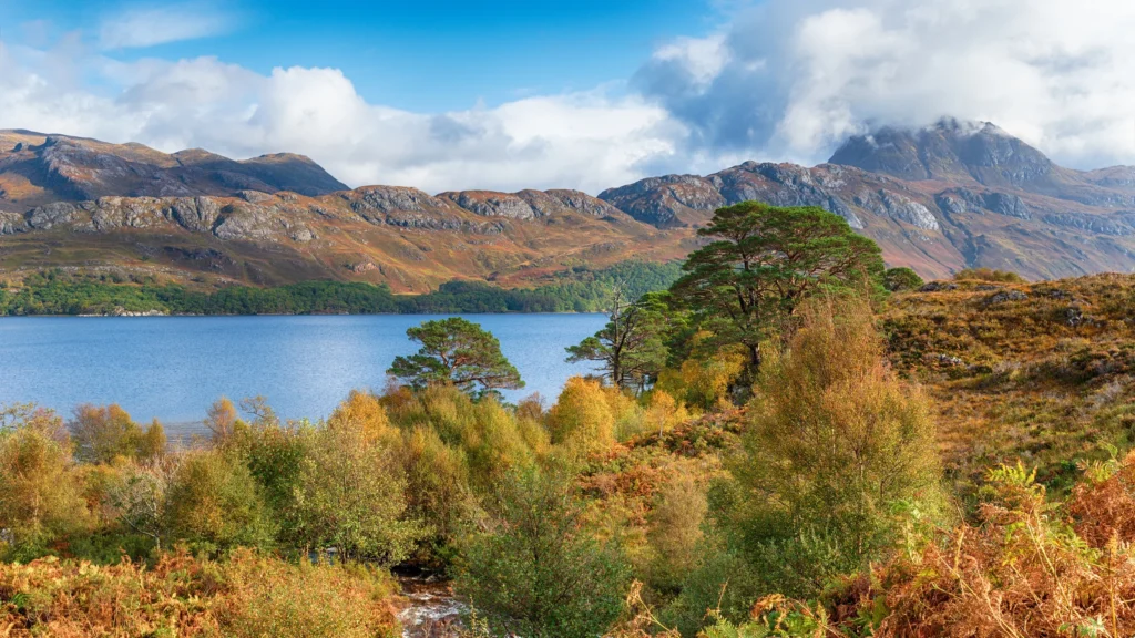 Autumn at Loch Maree, Wester Ross.