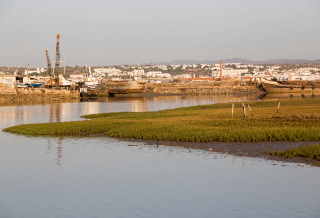 An estuary at Tavira Island, Algarve.