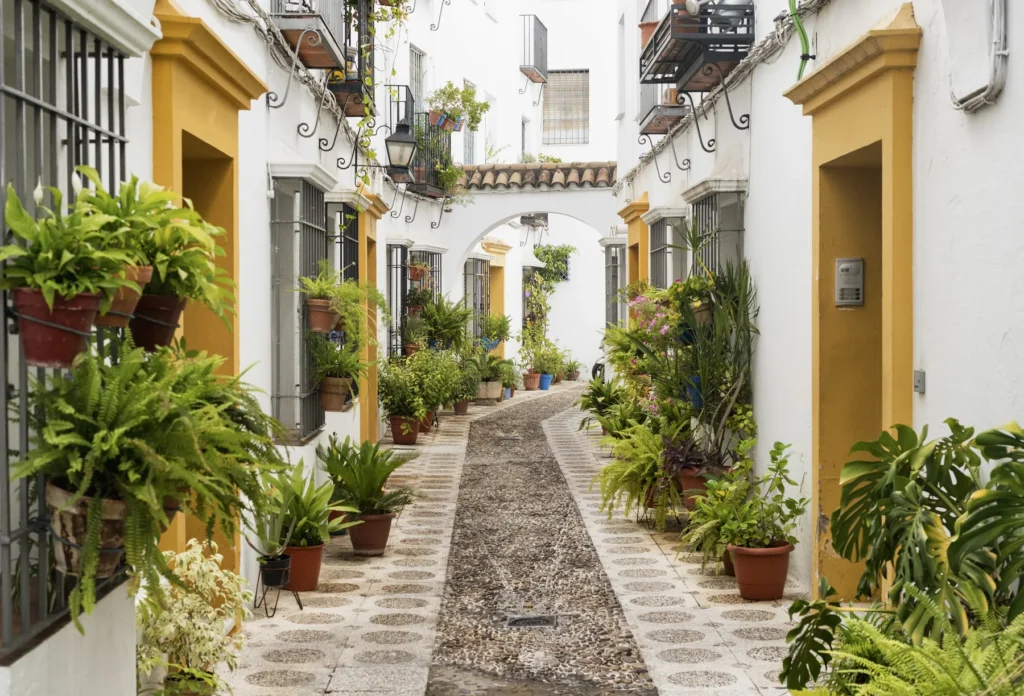 A street in Córdoba, Andalusia.