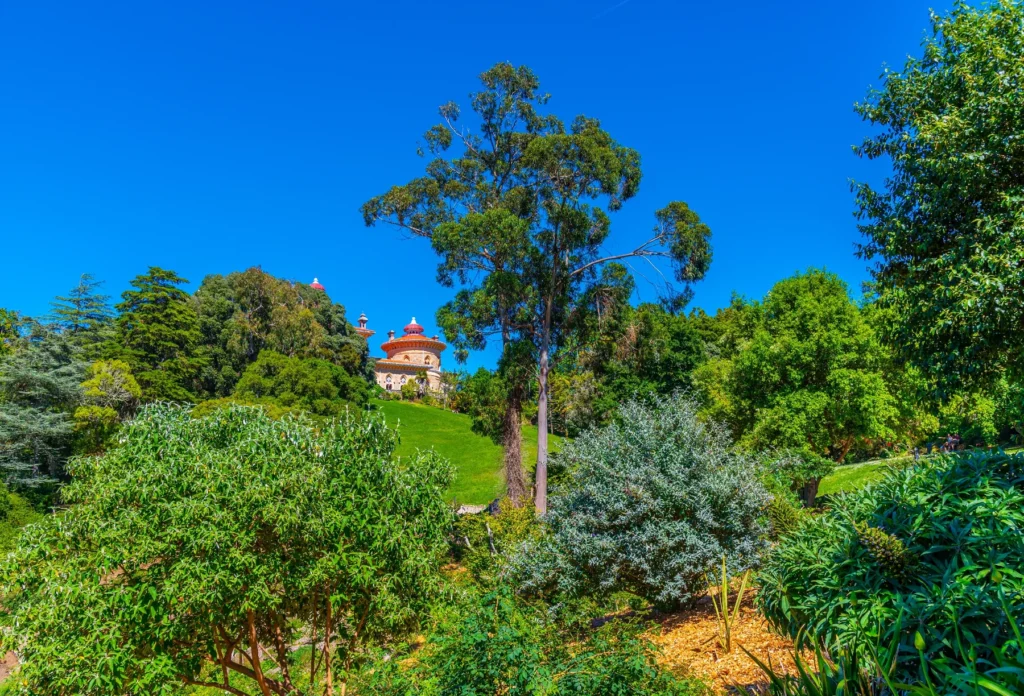 Monserrate gardens, Sintra.