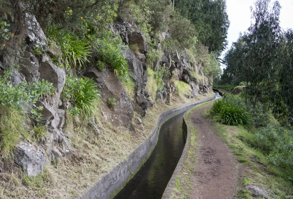 A levada on Madeira.