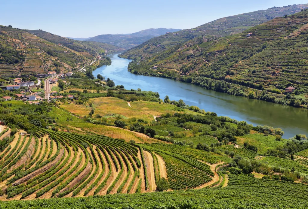 Douro vineyards and river near Mesão Frio; regional context, not Quinta do Bomfim.