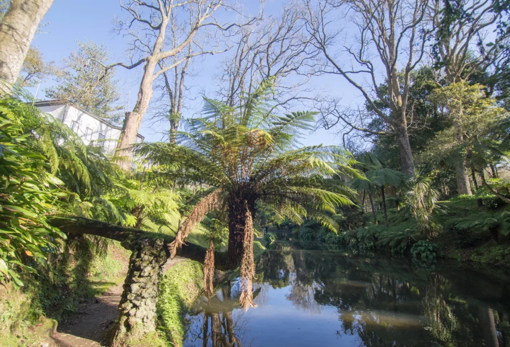 Lush vegetation in Terra Nostra Park, Furnas.