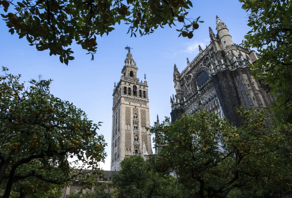 Seville Cathedral seen through trees; no tower-route access implied.