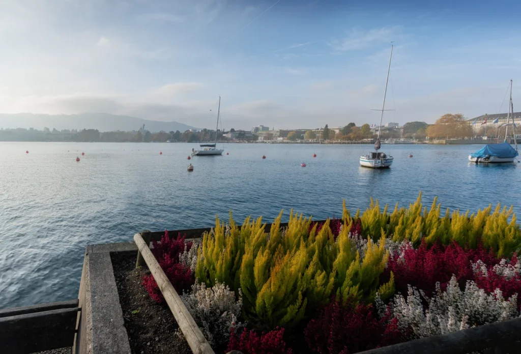 Lake Zürich and boats. No particular cruise vessel, pier or service is represented.