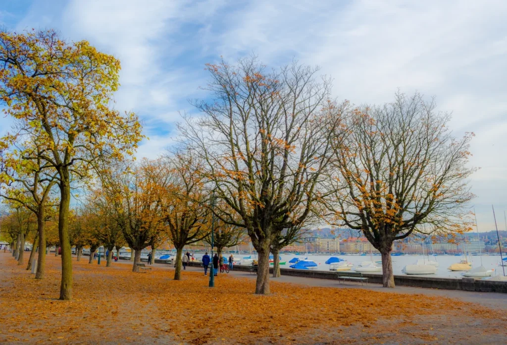 A Lake Zürich promenade in autumn. The precise Utoquai section is not identified.