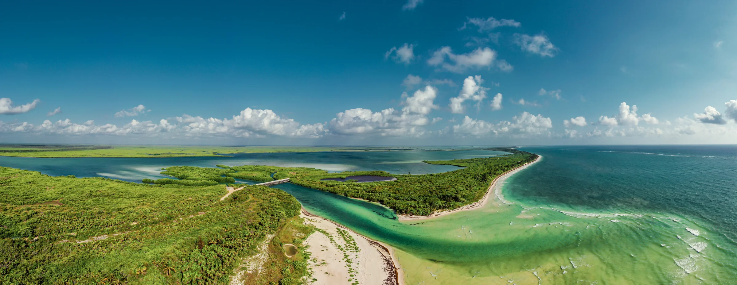 Tropical Coastal Waters and Lush Greenery, Clear Sky