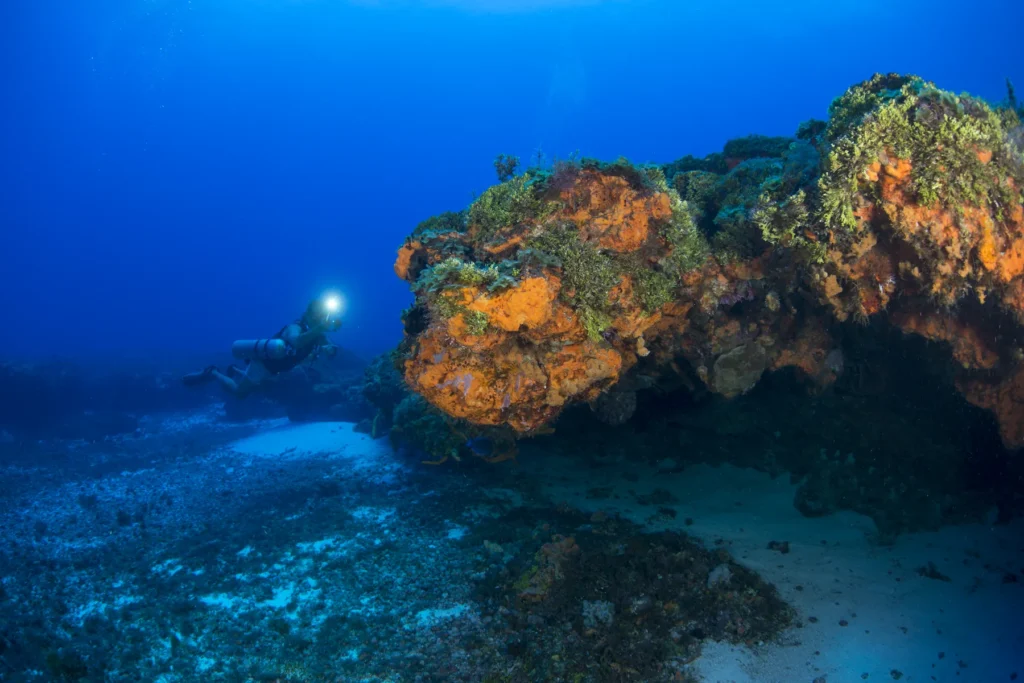 Underwater view of scuba diver investigating colourful reef, Arrowsmith Banks, Cancun, Mexico