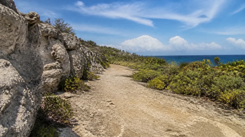 AI-generated editorial visualization of Read Cayman Brac from limestone edge to sea.