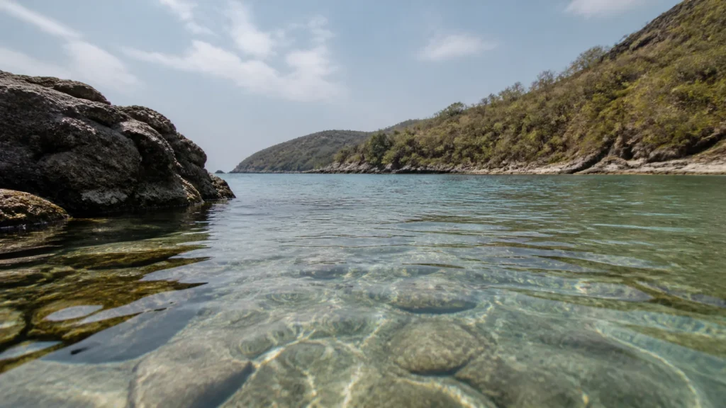 AI-generated editorial visualization of A named Saint Barthelemy nature-reserve zone.