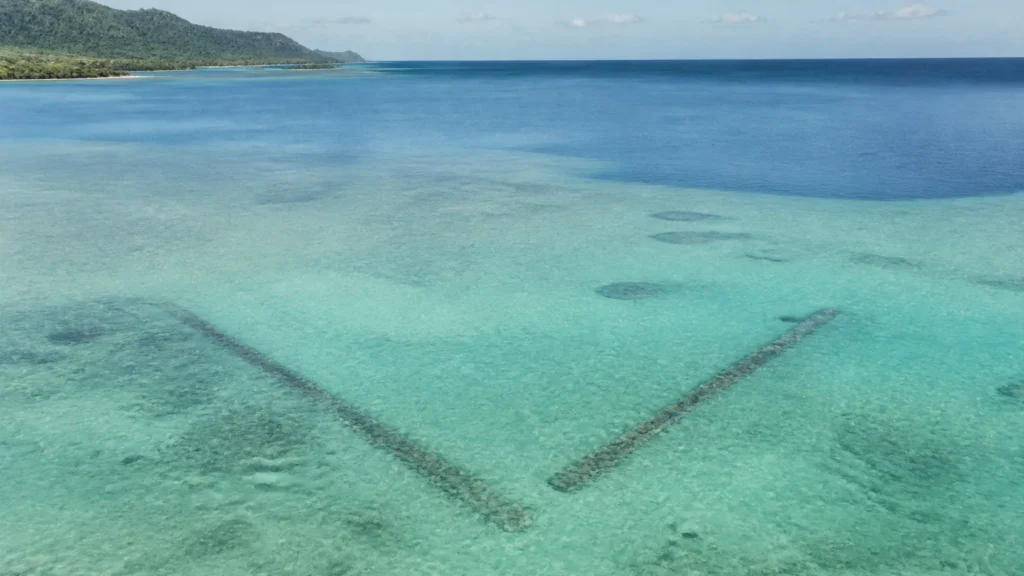 AI-generated editorial visualization of Understand Maeva's fish traps without interrupting work.