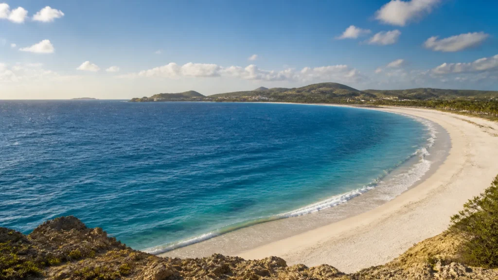 AI-generated editorial visualization of Let Orient Bay be condition-led.