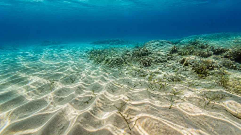 AI-generated editorial visualization of Enter Montego Bay or Negril marine space through the current zone.