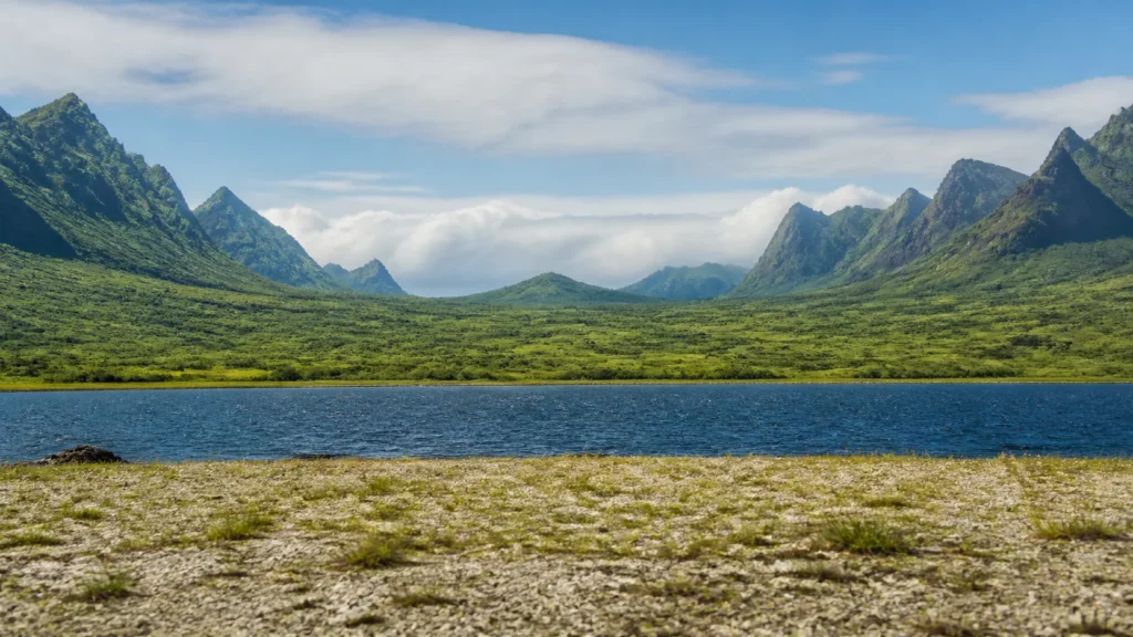 AI-generated editorial visualization of Opunohu Bay's shoreline-to-broad-valley-floor and distant jagged-relief relationship from anonymous stable ground; not an exact viewpoint, geology, property, land use, route, access, weather or current-condition record.