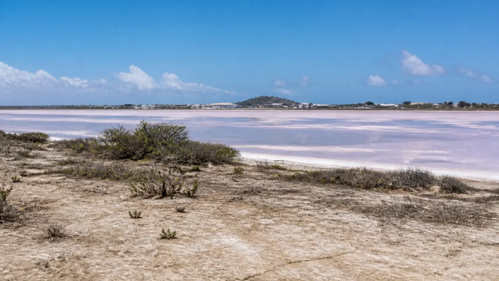 AI-generated editorial visualization of Connect Great Salt Pond to Philipsburg.