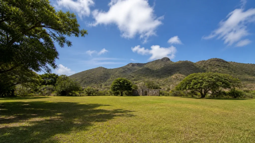 AI-generated editorial visualization of Use Emilio Wilson Estate for a grounded inland chapter.