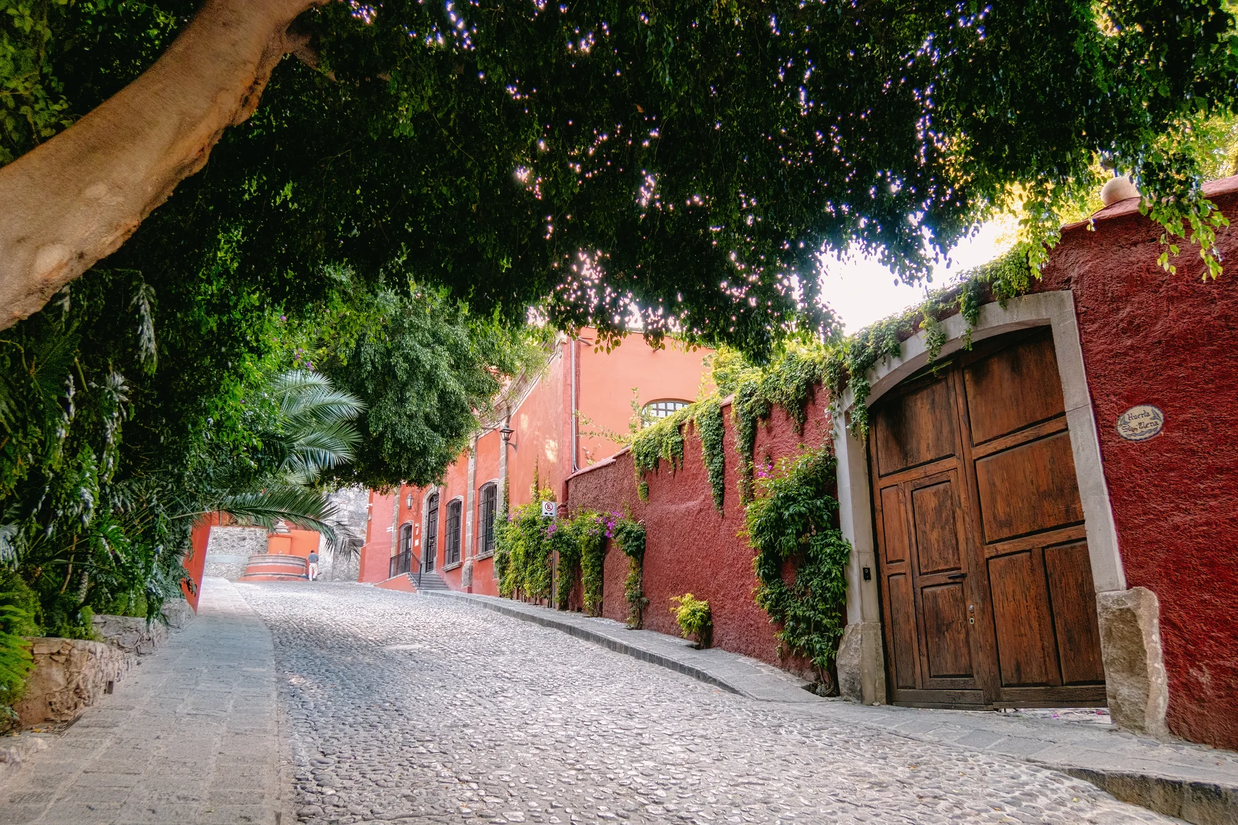 Cobblestone Street with Greenery and Red Walls