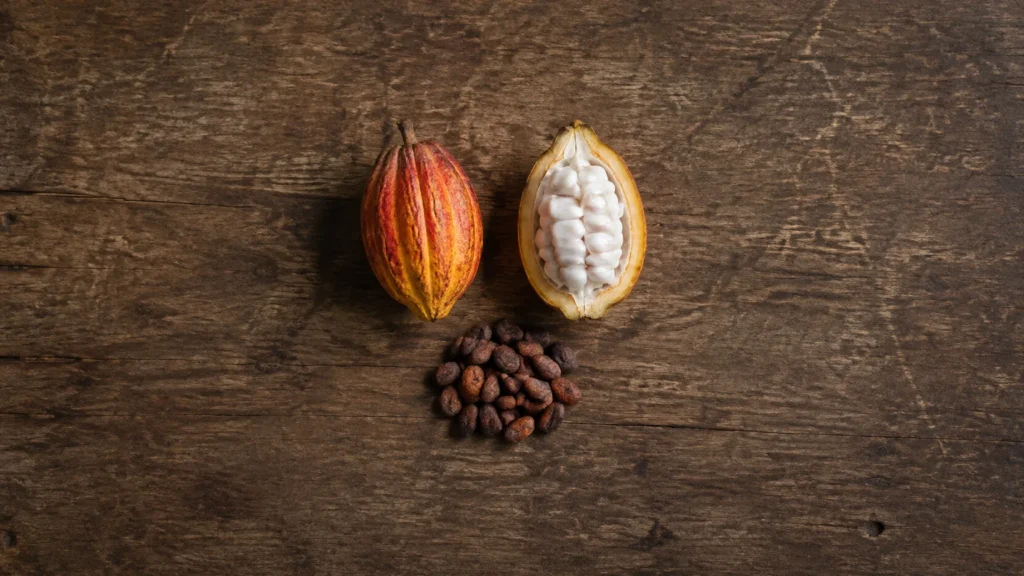 AI visualization of a ripe cacao pod, an opened pod with pulp-covered seeds and dried cacao beans