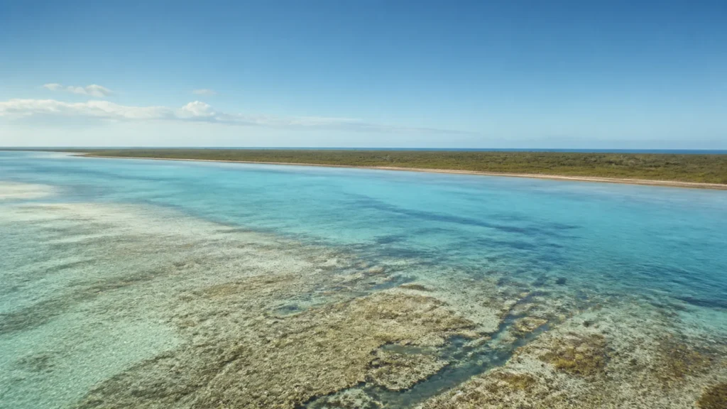 AI-generated editorial visualization of Anegada's low coral, reef-flat and broad shallow-lagoon context from a deliberately non-map-exact elevated perspective; not a navigation, access, ecological-health or current-condition record.