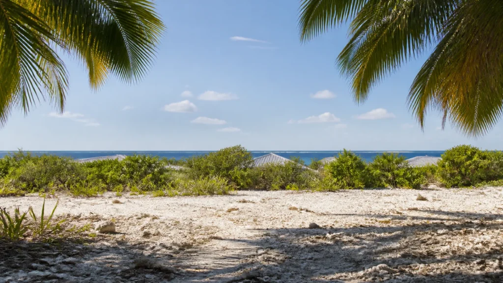 AI-generated editorial visualization of an anonymous Rangiroa village-edge, coconut-shade and distant-pass relationship from a property-neutral sand-and-coral verge; not an exact street, building, home, property, route, service, access or current-condition record.