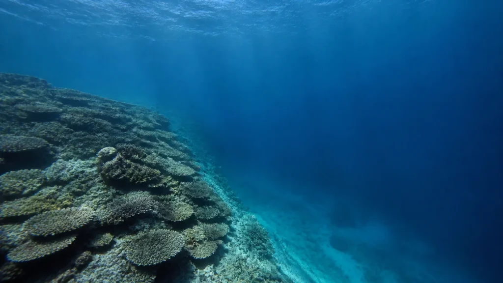 AI-generated editorial visualization of Dive or observe one exact Fakarava pass responsibly.