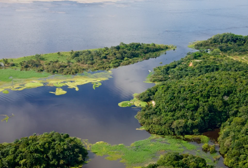 River and forest in the region around Manaus, Amazonas, Brazil.