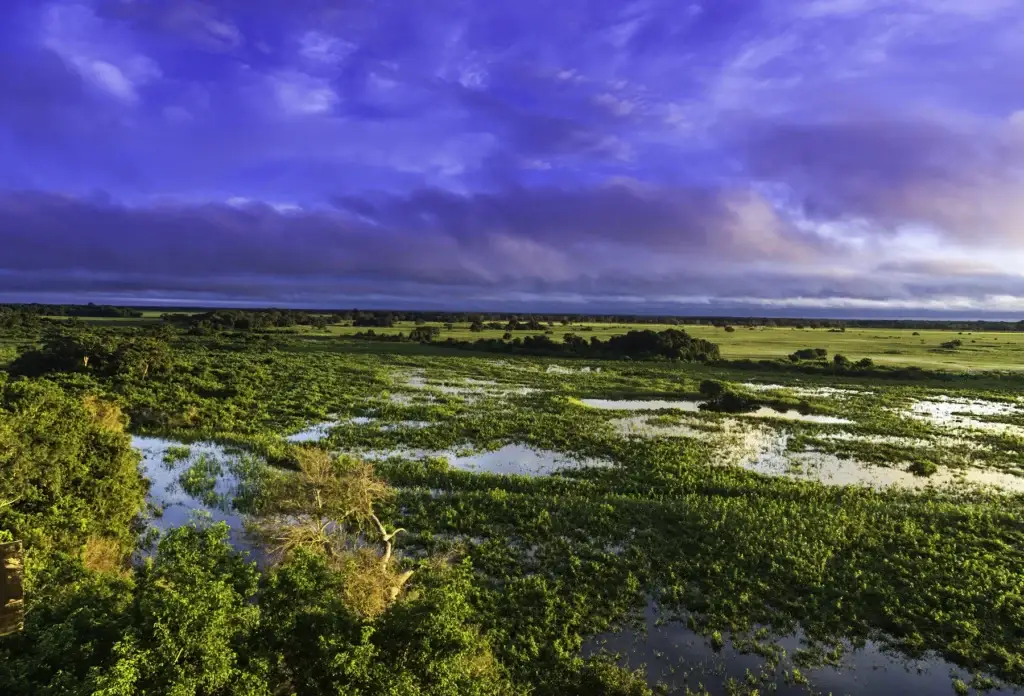 Sunrise over Pantanal marshland, Brazil.