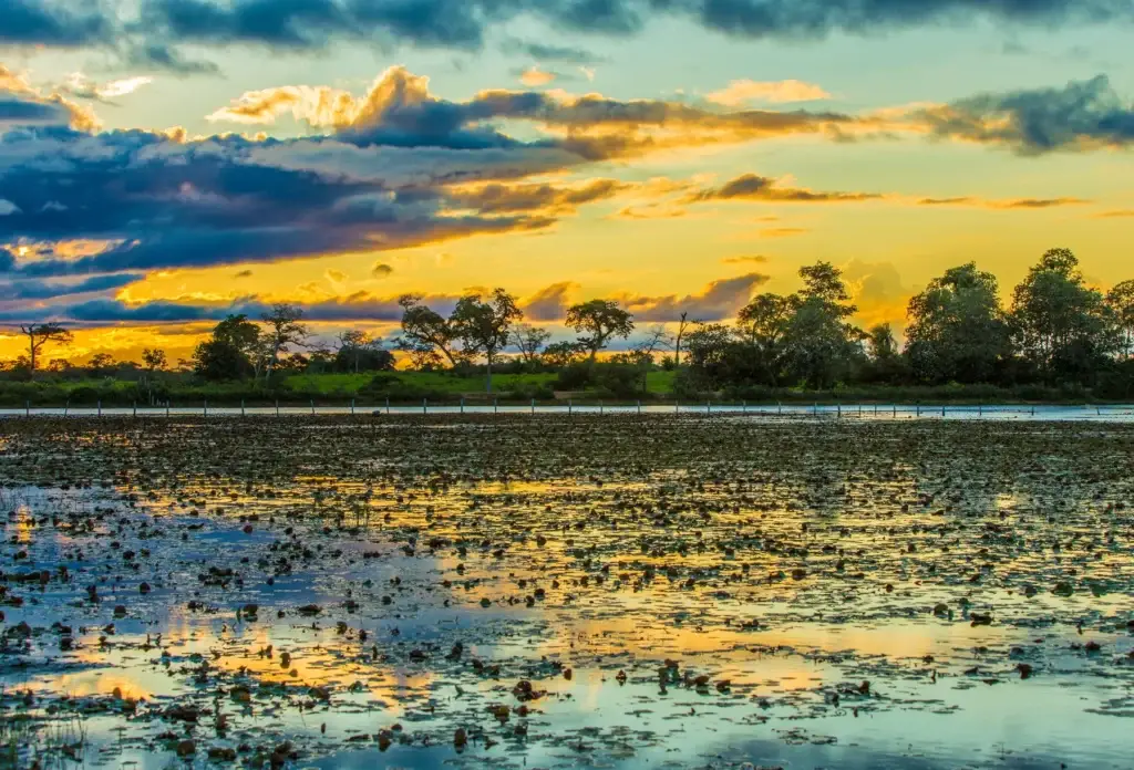 Sunset over the Pantanal, Brazil.