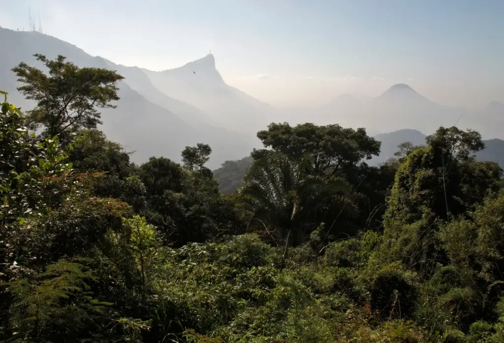 Tijuca Forest with Christ the Redeemer in the distance, Rio de Janeiro.