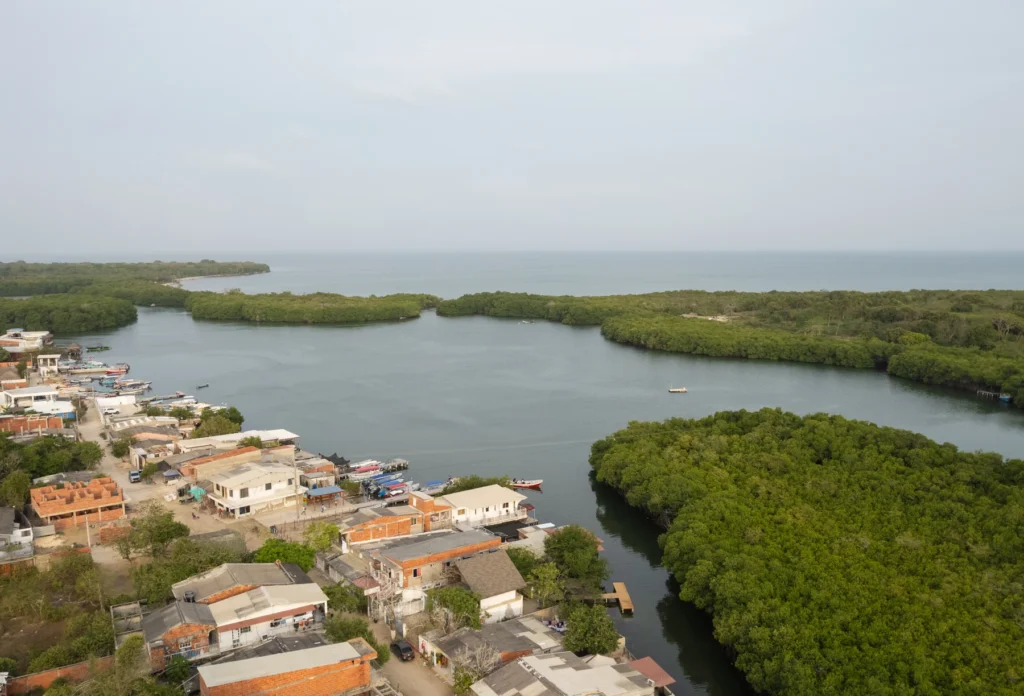 Mangroves and coastal waterways beside Barú village, Colombia.