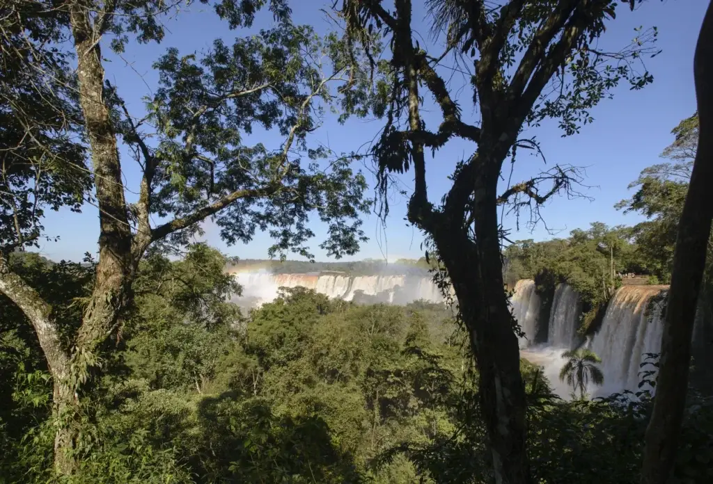 Forest framing Iguazú Falls on the Argentine side.