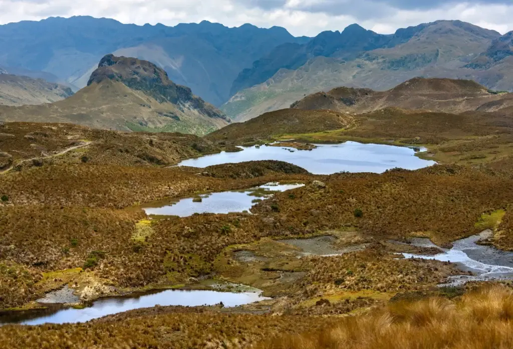 Highland lakes and páramo in El Cajas National Park, Ecuador.