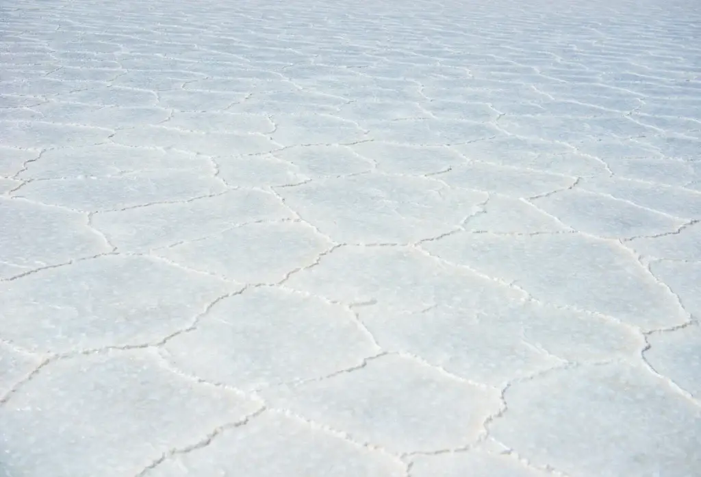 Polygonal salt crust on Bolivia's Salar de Uyuni.