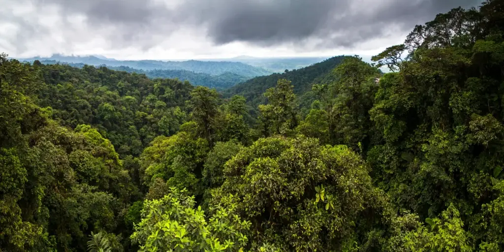 Mashpi cloud forest in Ecuador’s Choco region.