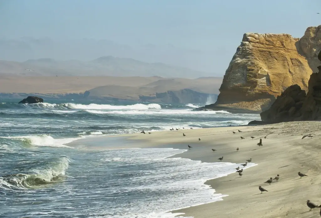 Birds, surf and desert cliffs in Paracas National Reserve, Peru.