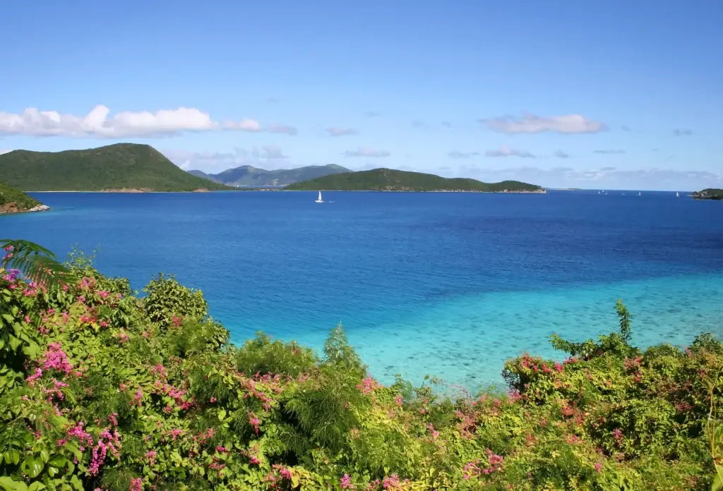 Coastal greenery and turquoise water on St. John.