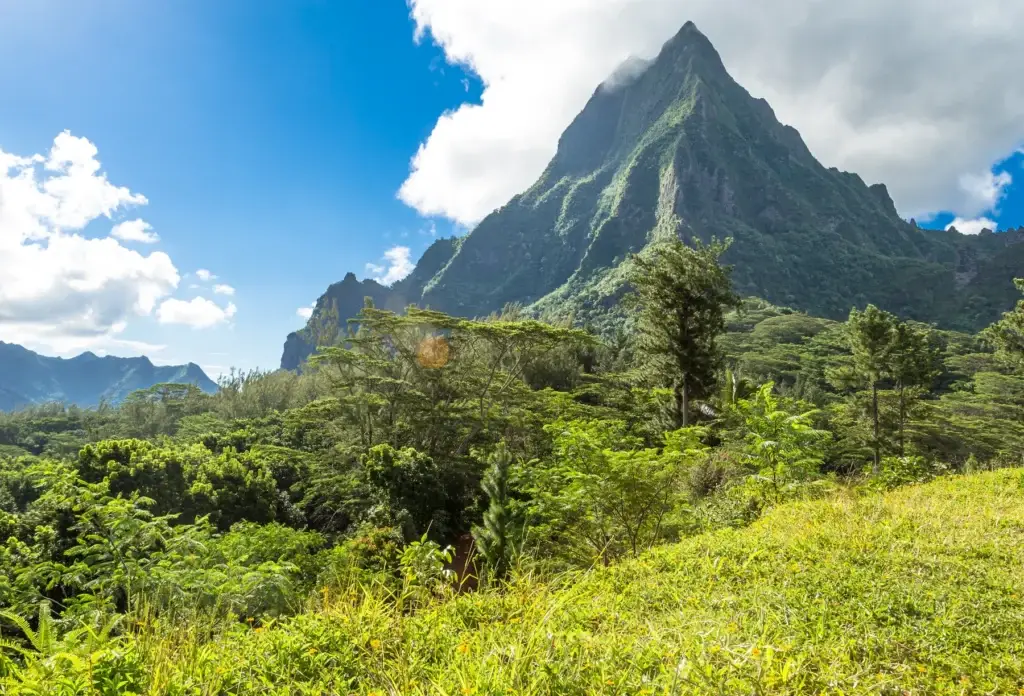 Moorea's mountain landscape.