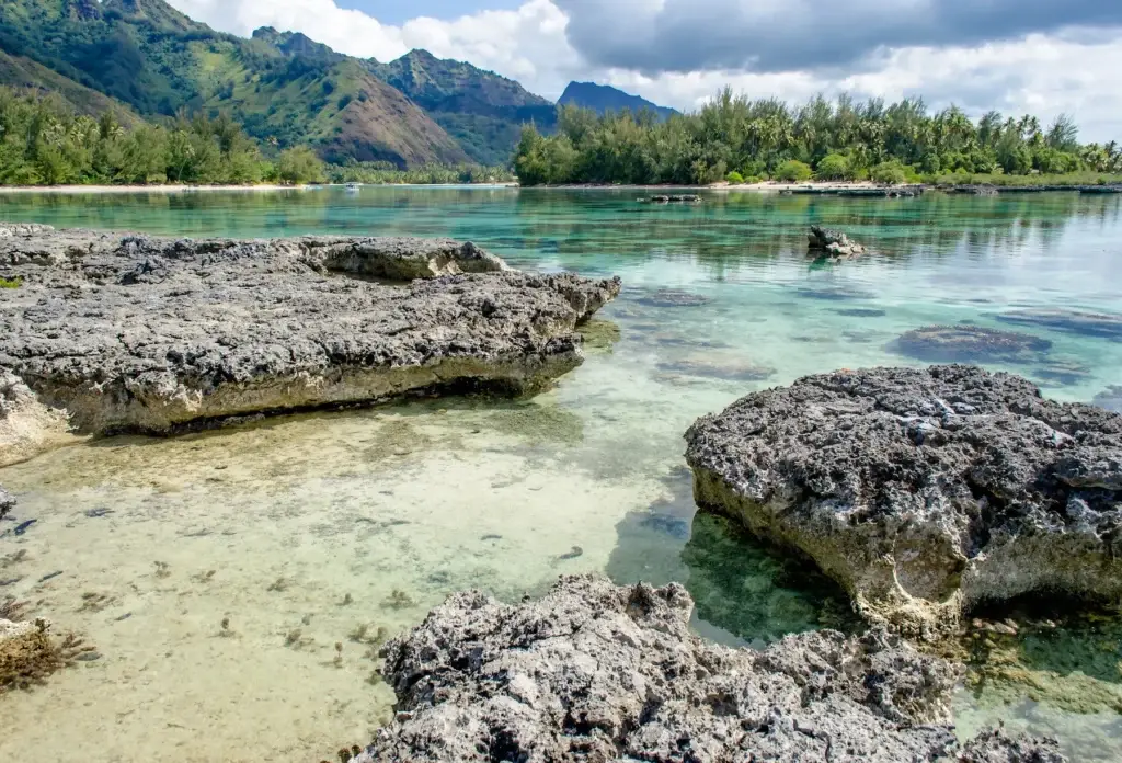 Moorea’s shallow coastal waters and volcanic mountain backdrop.