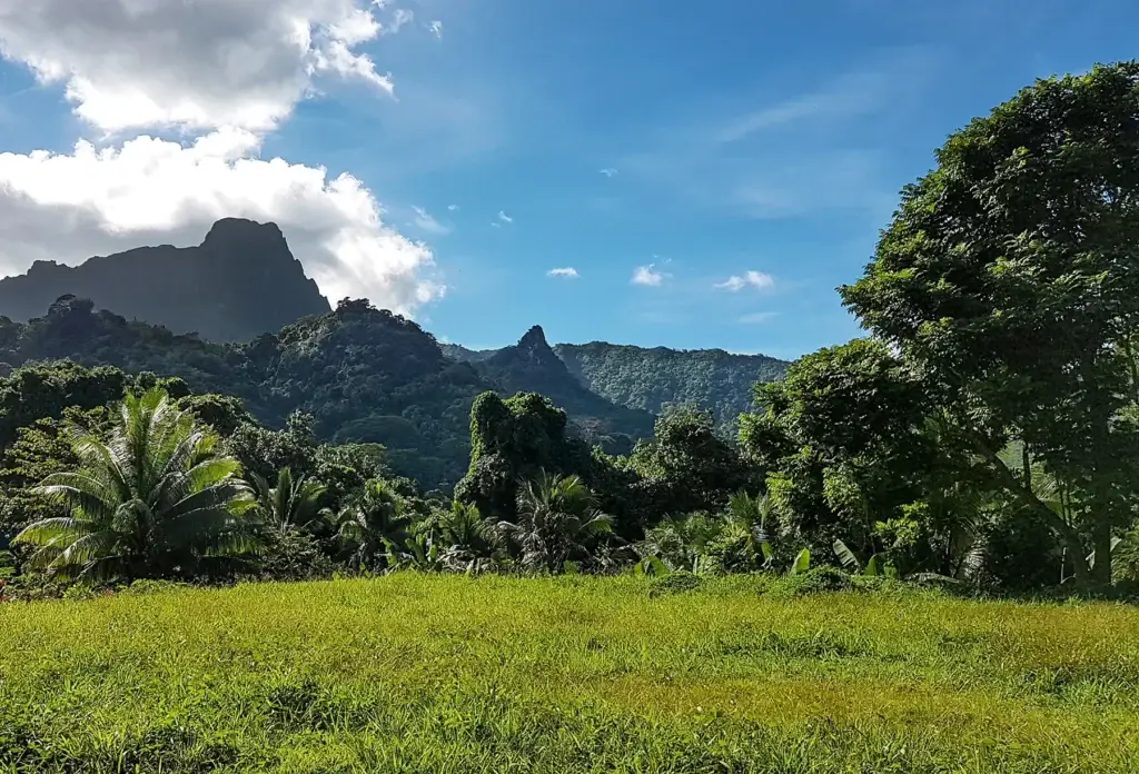 Moorea’s inland greenery beneath its volcanic ridges.