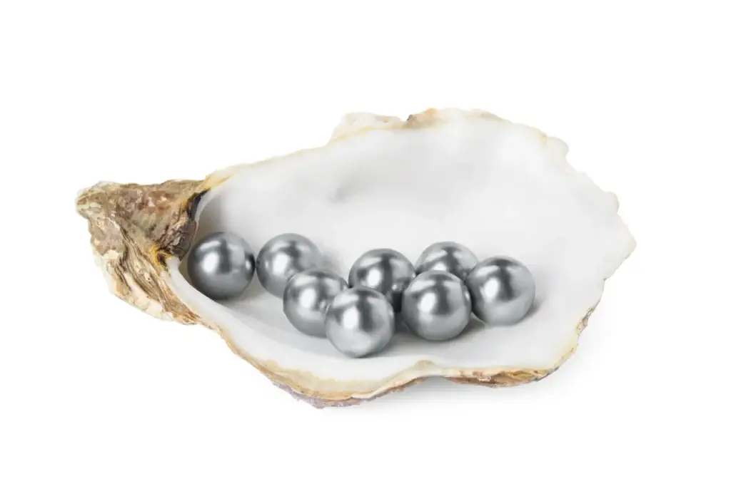 Pearls arranged in an oyster shell; illustrative material detail.
