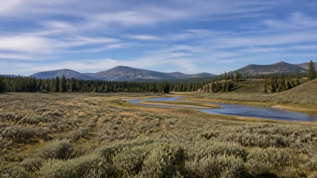 Yellowstone Tribal Heritage Center exterior or a verified Yellowstone landscape used only as geographic context